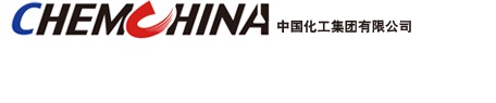 中國(guó)化工六公司 